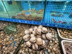 -周记老沈阳焦火鸡架