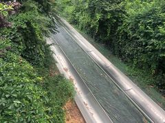 -富斯特索道