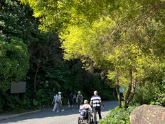 -广州市帽峰山景区