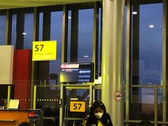 -谢列梅捷沃国际机场