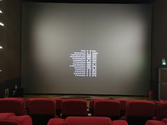 -纵横国际影城杜比全景声巨幕(天安云谷店)