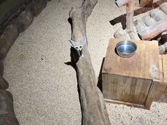 -砂之船奥特莱斯(合肥店)