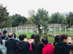 -西安秦岭野生动物园