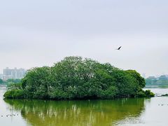 -海珠湖公园