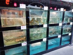 水产区-院8里·少城记忆老川菜(宽窄巷子店)
