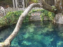 -蝴蝶泉公园