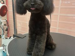 -FAELING PETS美天灵宠物(合生汇店)