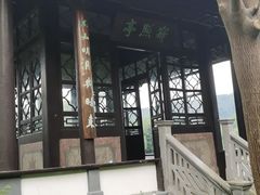 -西湖游船