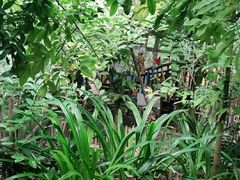 -呀路古热带植物园