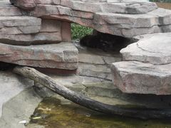 -泉州海丝野生动物世界