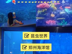 -郑州海洋馆