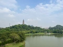 -顺峰山公园