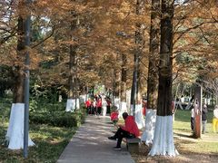 -贵阳市花溪国家城市湿地公园