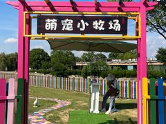 -上海佘山世茂艾美酒店