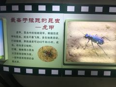 -上海昆虫博物馆
