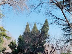 -济南大明湖景区