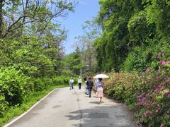 -木兰云雾山
