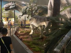 -湖南省地质博物馆