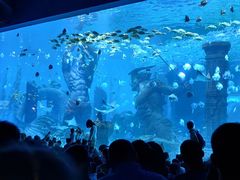 -哈尔滨波塞冬海底世界
