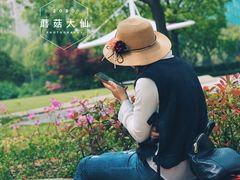 -新江湾城公园