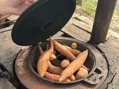 -西部长青自然儿童乐园