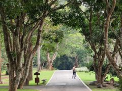 -中国科学院西双版纳热带植物园