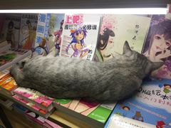 -小时光咖啡馆(开森度假森林店)