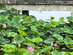 -箸福·夜上海(月牙湖公园店)