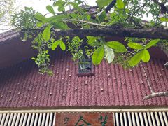 -广州兰圃