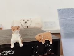 -Onirii Coffee(长乐路店)