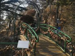 -信号山公园
