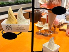 -野人先生现做冰淇淋(北京环宇荟店)
