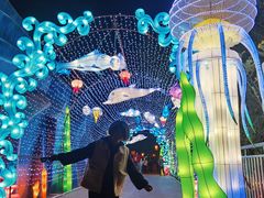 -厦门方特东方神画