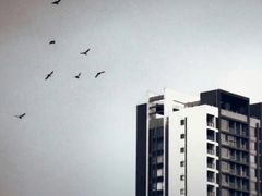 -澳门环岛游湾仔码头