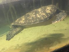 -苏州海洋馆