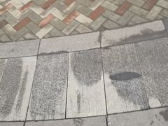 -柳浪游泳场