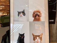 -KUDDO COFFEE(深圳湾总部)