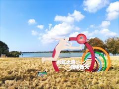 -贡湖湾湿地公园