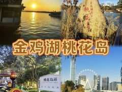 -金鸡湖桃花岛