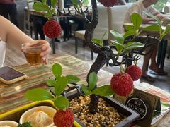 -椿记烧鹅(柳邕店)