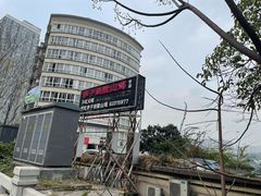 -李子坝梁山鸡(李子坝大鸡哥店)