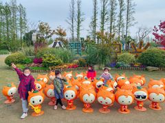 -上海长兴岛郊野公园