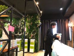 -藤野造型