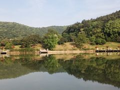 -龙寺生态园