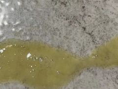 -辛巴宠物医疗中心·骨科·内分泌专科·心肾专科(亭林公园店)