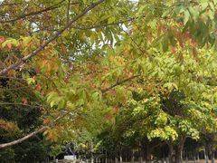 -长春世界雕塑园冰雪艺术天地