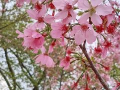 -福建鲤鱼洲酒店