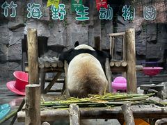 -栾川竹海野生动物园