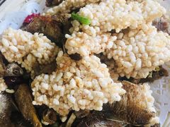 小鱼锅巴-美味之家·湖景农家乐(太湖东山店)