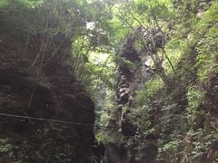 -黑河国家森林公园